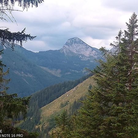 Oberort Haus Bergblick Fruehstueckspension المظهر الخارجي الصورة