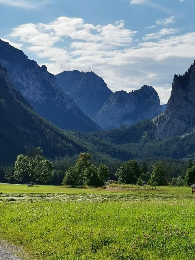 Oberort Haus Bergblick Fruehstueckspension المظهر الخارجي الصورة