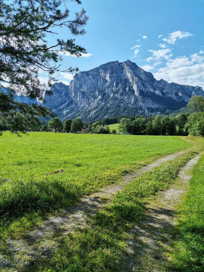 Oberort Haus Bergblick Fruehstueckspension المظهر الخارجي الصورة