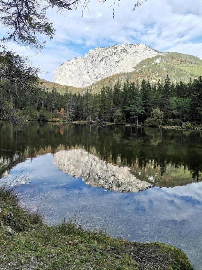 Oberort Haus Bergblick Fruehstueckspension المظهر الخارجي الصورة
