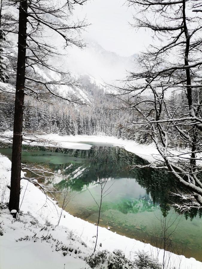 Oberort Haus Bergblick Fruehstueckspension المظهر الخارجي الصورة