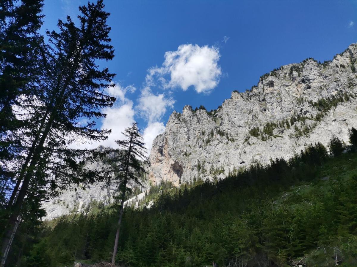 Oberort Haus Bergblick Fruehstueckspension المظهر الخارجي الصورة
