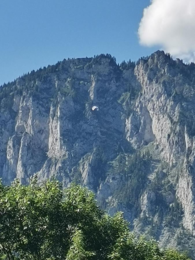 Oberort Haus Bergblick Fruehstueckspension المظهر الخارجي الصورة