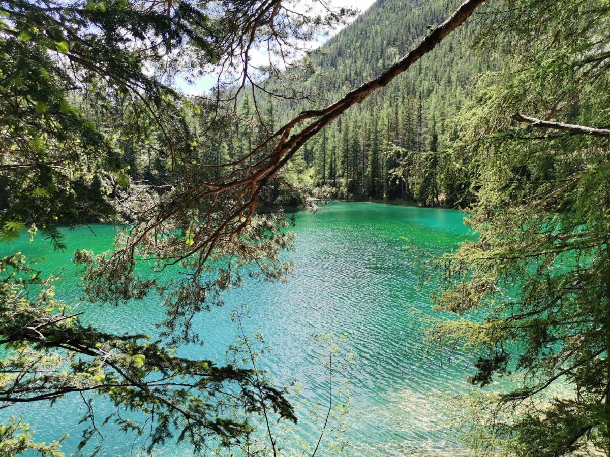 Oberort Haus Bergblick Fruehstueckspension المظهر الخارجي الصورة