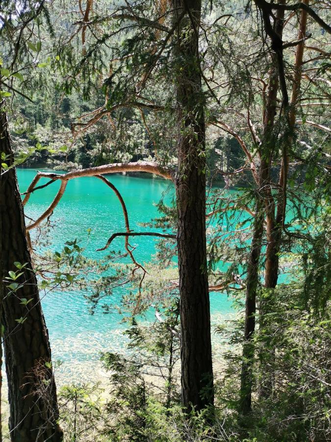 Oberort Haus Bergblick Fruehstueckspension المظهر الخارجي الصورة