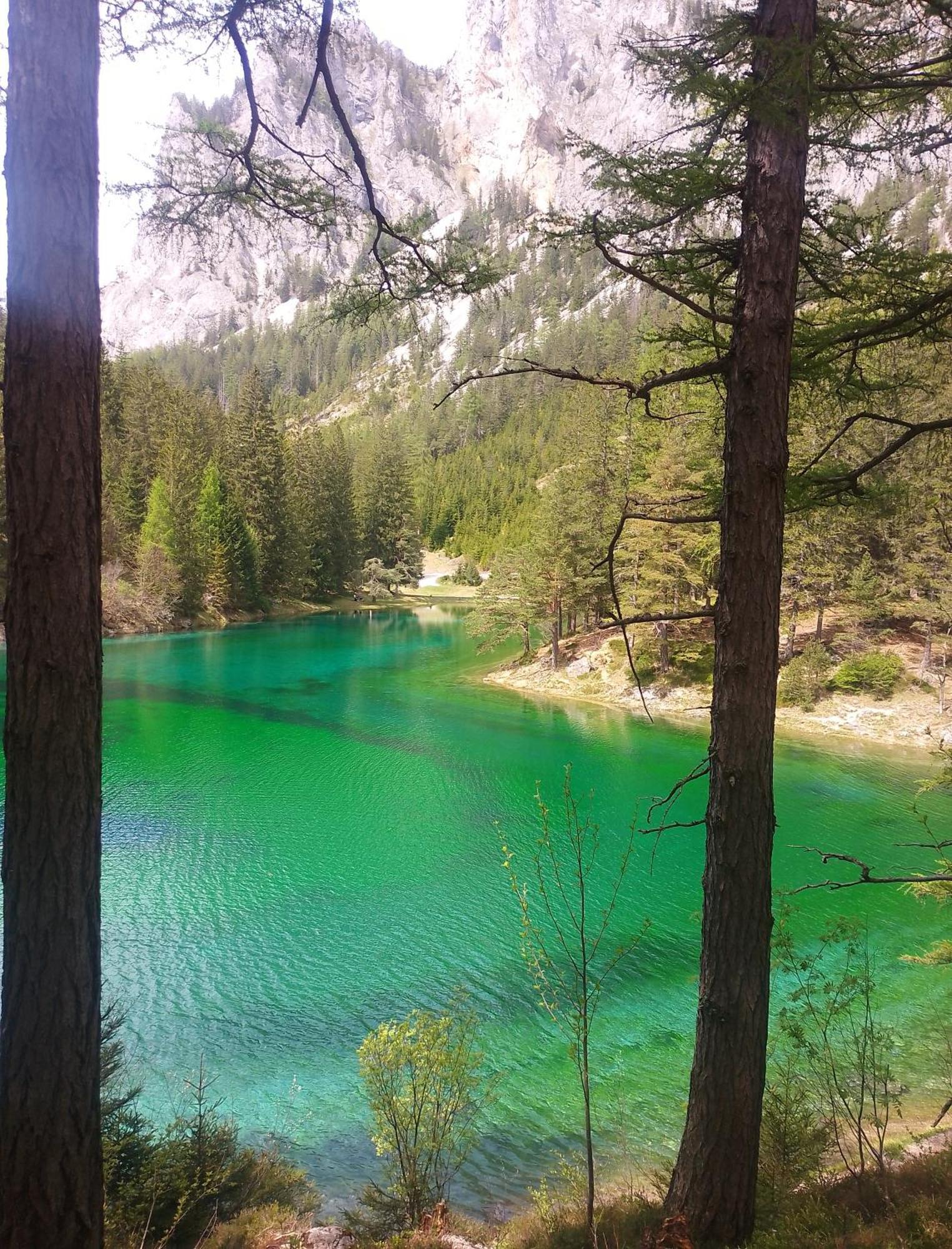Oberort Haus Bergblick Fruehstueckspension المظهر الخارجي الصورة