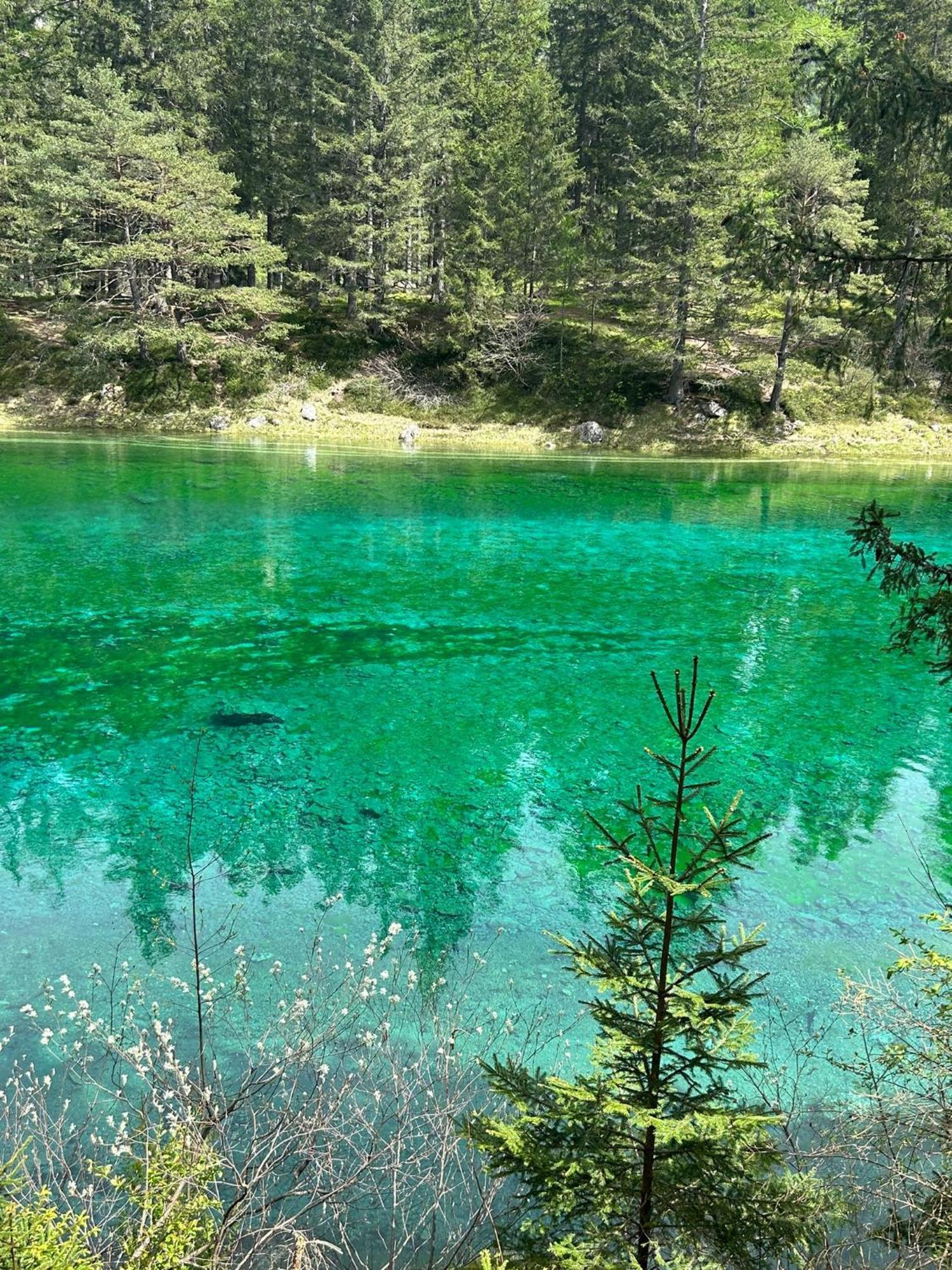 Oberort Haus Bergblick Fruehstueckspension المظهر الخارجي الصورة