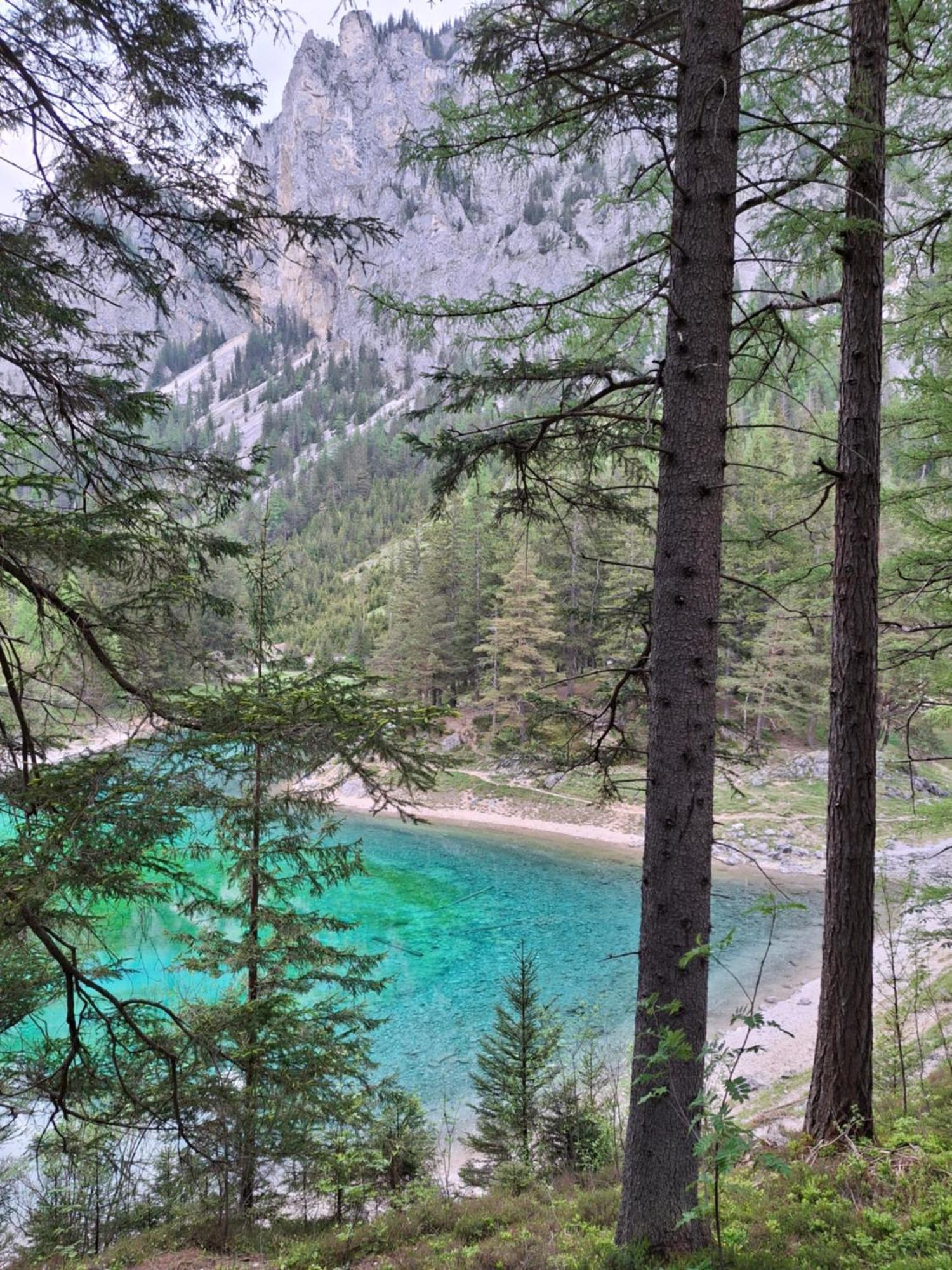 Oberort Haus Bergblick Fruehstueckspension المظهر الخارجي الصورة