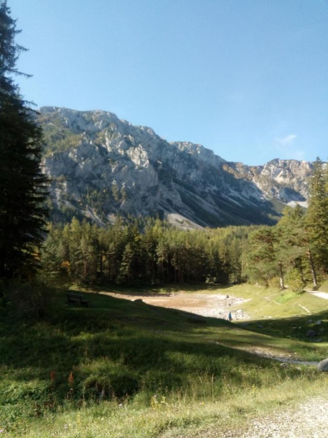 Oberort Haus Bergblick Fruehstueckspension المظهر الخارجي الصورة